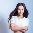 何珺(中國內地演員) 何珺(中國內地演員)