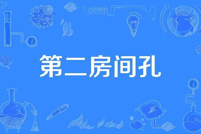 第二房間孔