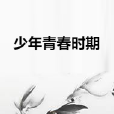 少年青春時期 少年青春時期