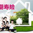 定期壽險(保險名稱) 定期壽險(保險名稱)