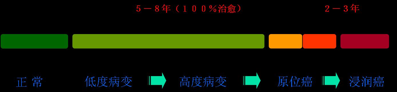 宮頸癌癌變過程