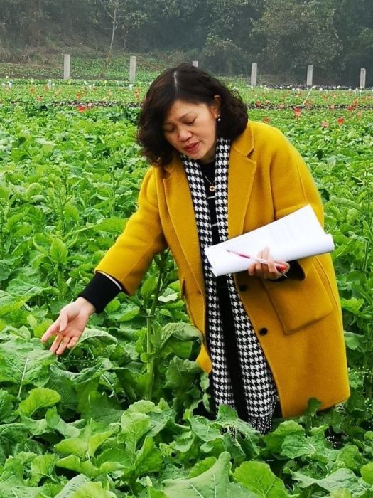 李浩傑(中國作物學會油料專業委員會及四川省作物學會常務理事) 李浩傑(中國作物學會油料專業委員會及四川省作物學會常務理事)