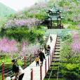 真愛樂園