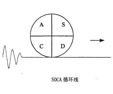 SDCA循環