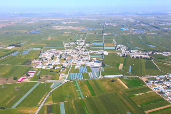 林原村 林原村