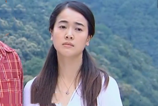 葉雨(愛情劇《一言為定》中的角色) 葉雨(愛情劇《一言為定》中的角色)