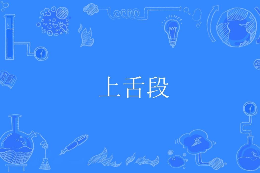 上舌段 上舌段