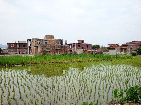 蓉溪村 蓉溪村