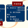 開發支出 開發支出