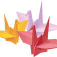 摺紙(紙張折成各種不同形狀的藝術活動)