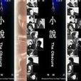 小說(詩意的年代)