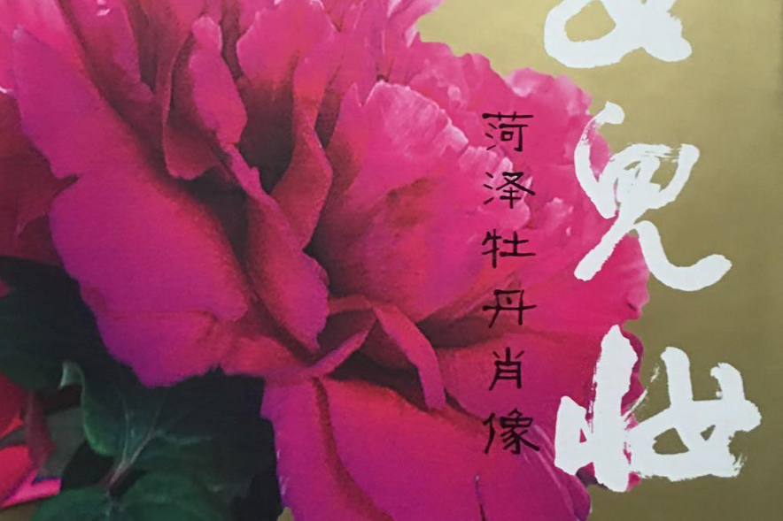 女兒妝(2008年山東友誼出版社出版的圖書) 女兒妝(2008年山東友誼出版社出版的圖書)