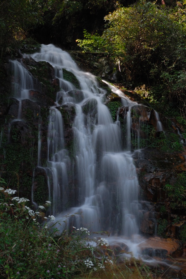 貴州雷公山國家級自然保護區