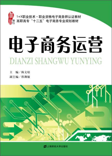 電子商務運營(2013年上海財經大學出版社出版書籍)