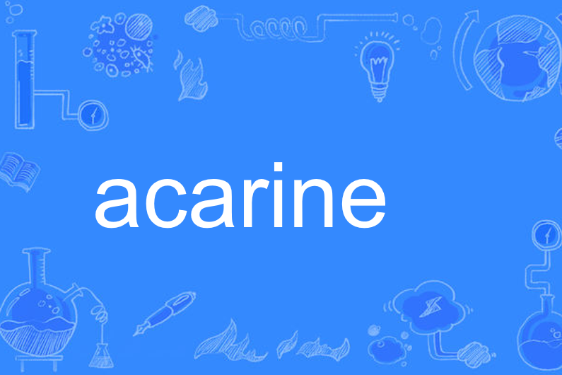 acarine acarine