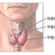 環咽肌功能障礙