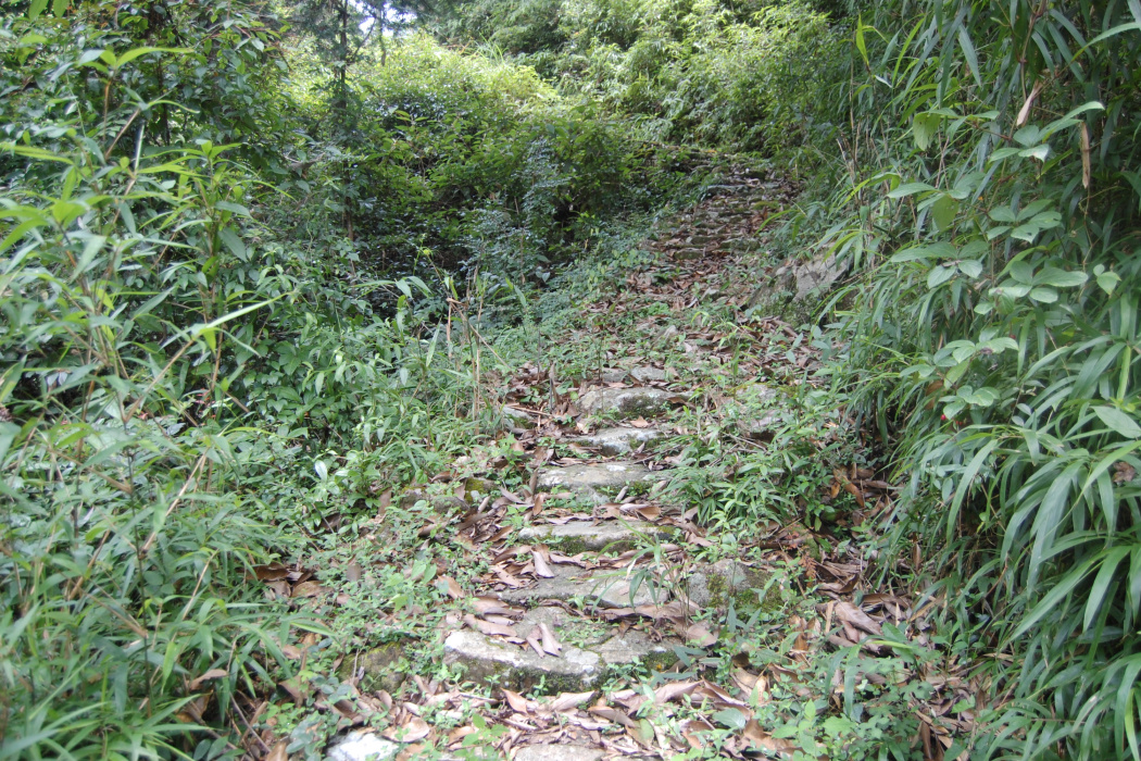 岱根嶺古道 岱根嶺古道