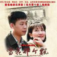 雪花那個飄(2011年張譯、潘雨辰主演的電視劇) 雪花那個飄(2011年張譯、潘雨辰主演的電視劇)