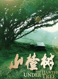 呂麗萍(中國內地女演員) 呂麗萍(中國內地女演員)