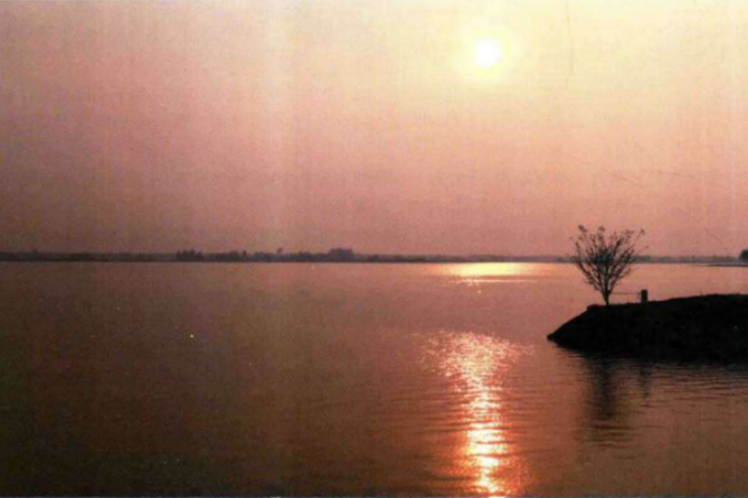 陶家湖(湖北省宜昌市枝江市問安鎮的湖泊) 陶家湖(湖北省宜昌市枝江市問安鎮的湖泊)