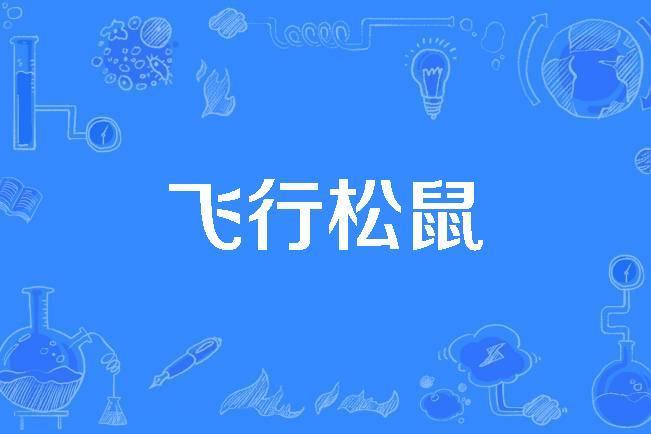 飛行松鼠 飛行松鼠