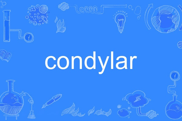 condylar condylar
