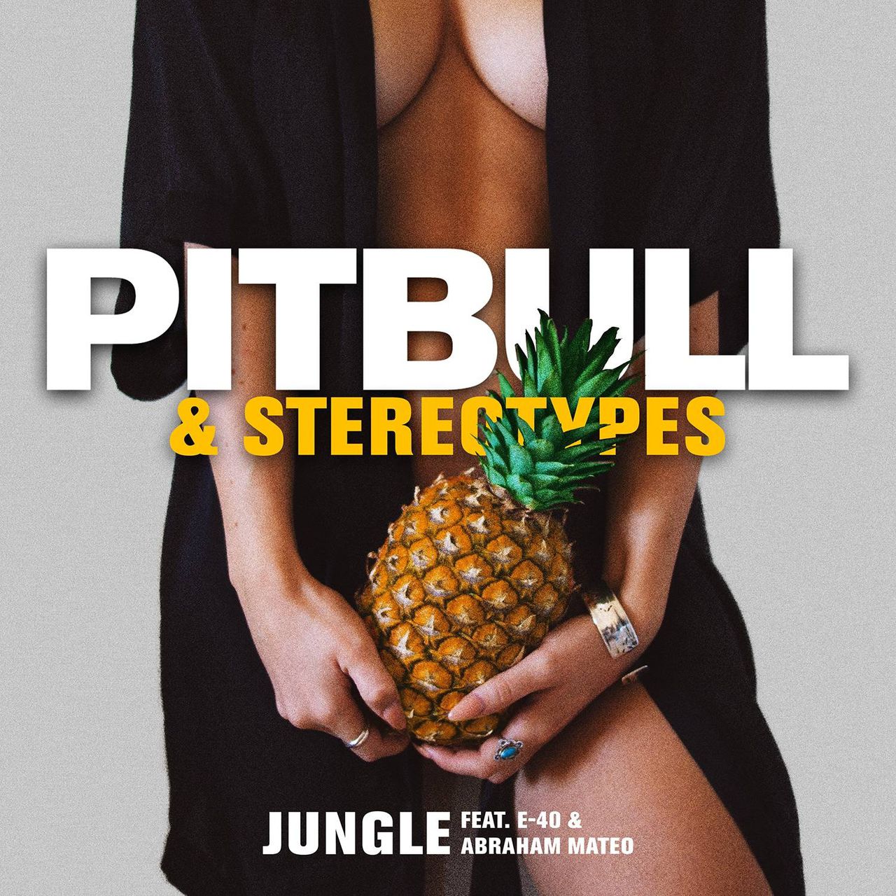 jungle(Pitbull,E-40,The Stereotypes,Abraham Mateo演唱歌曲)