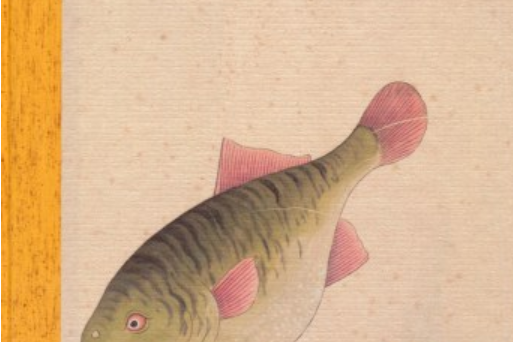 清宮海錯圖(2014年故宮出版社出版的圖書) 清宮海錯圖(2014年故宮出版社出版的圖書)
