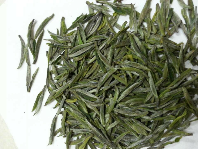 長興紫筍茶 長興紫筍茶