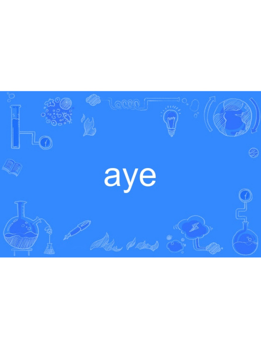 aye aye