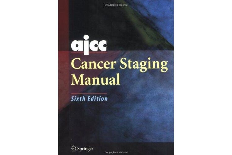 AJCC Cancer Staging Manual AJCC Cancer Staging Manual
