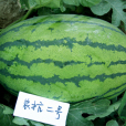 農抗二號 農抗二號