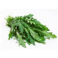 地蘿菜 地蘿菜