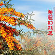 西興鄉 西興鄉