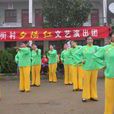 丁字街村 丁字街村