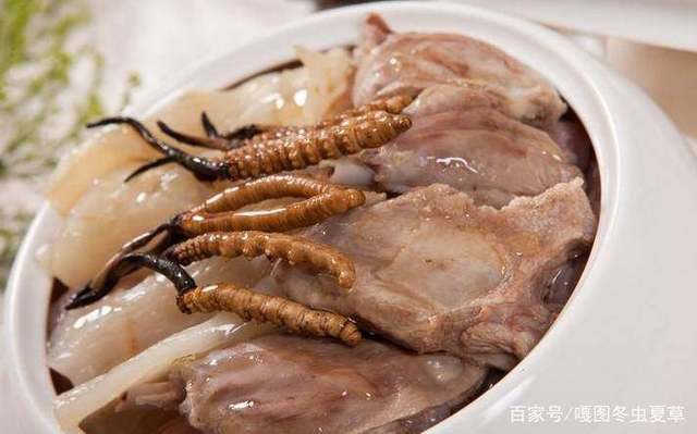 川貝母蛤蜊肉