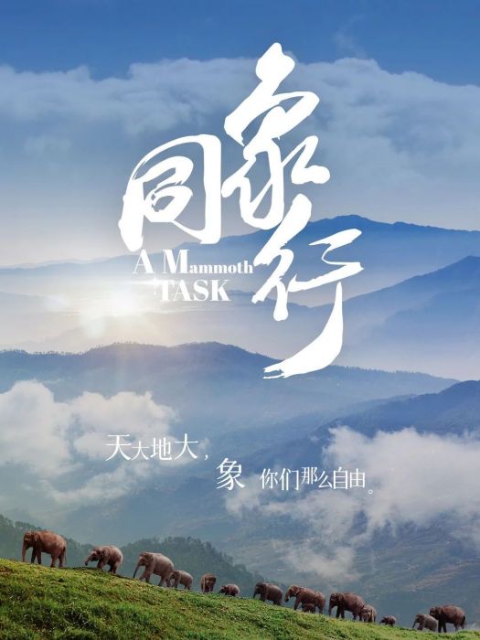 同象行 同象行