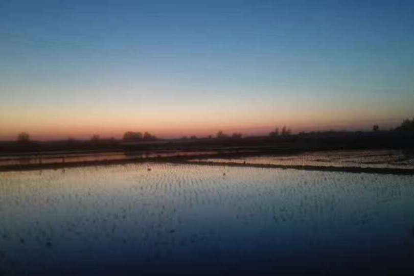 大坨子村(遼寧省瀋陽市遼中區下轄村) 大坨子村(遼寧省瀋陽市遼中區下轄村)
