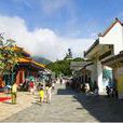 昂坪市集 昂坪市集