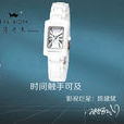 海奇表 海奇表