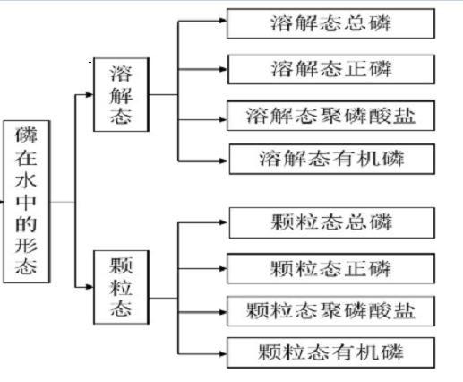 顆粒態磷 顆粒態磷