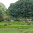 下布高村 下布高村
