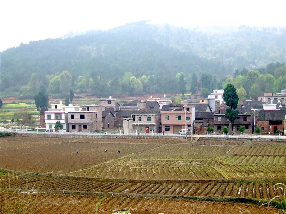 樟市村(湖南省郴州市桂陽縣樟市鎮下轄村) 樟市村(湖南省郴州市桂陽縣樟市鎮下轄村)