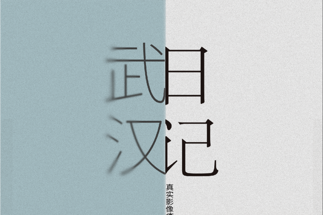 武漢日記：決戰江城之巔(武漢日記)