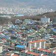 鎮海市 鎮海市