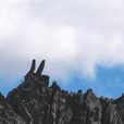 兔兒山