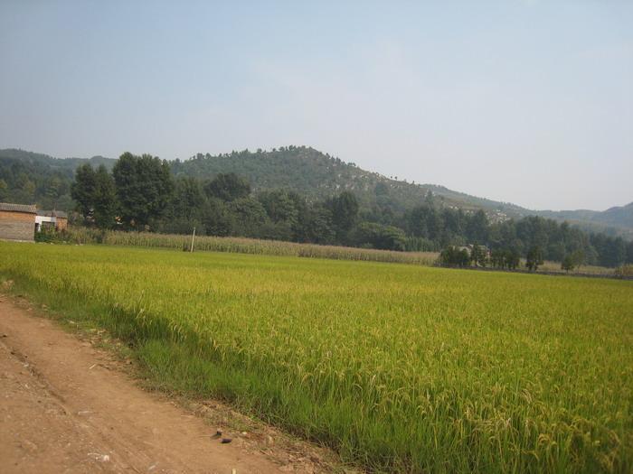 得路營下村 得路營下村