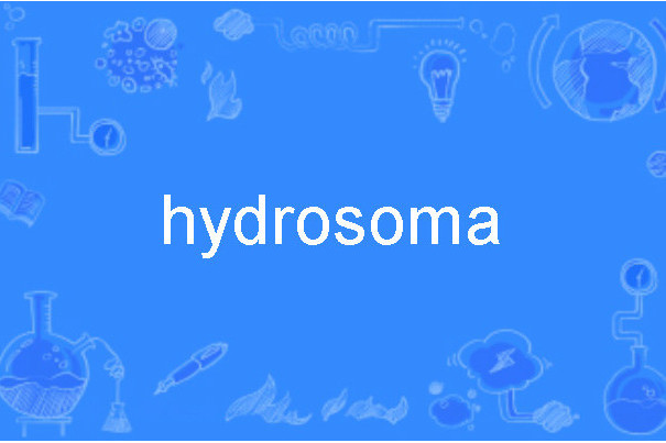 hydrosoma hydrosoma