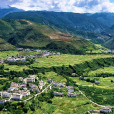 仲德村 仲德村