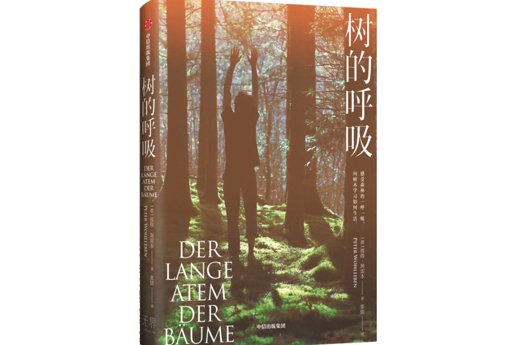 樹的呼吸 樹的呼吸